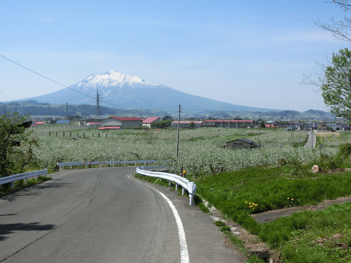 青柳小から見る岩木山
