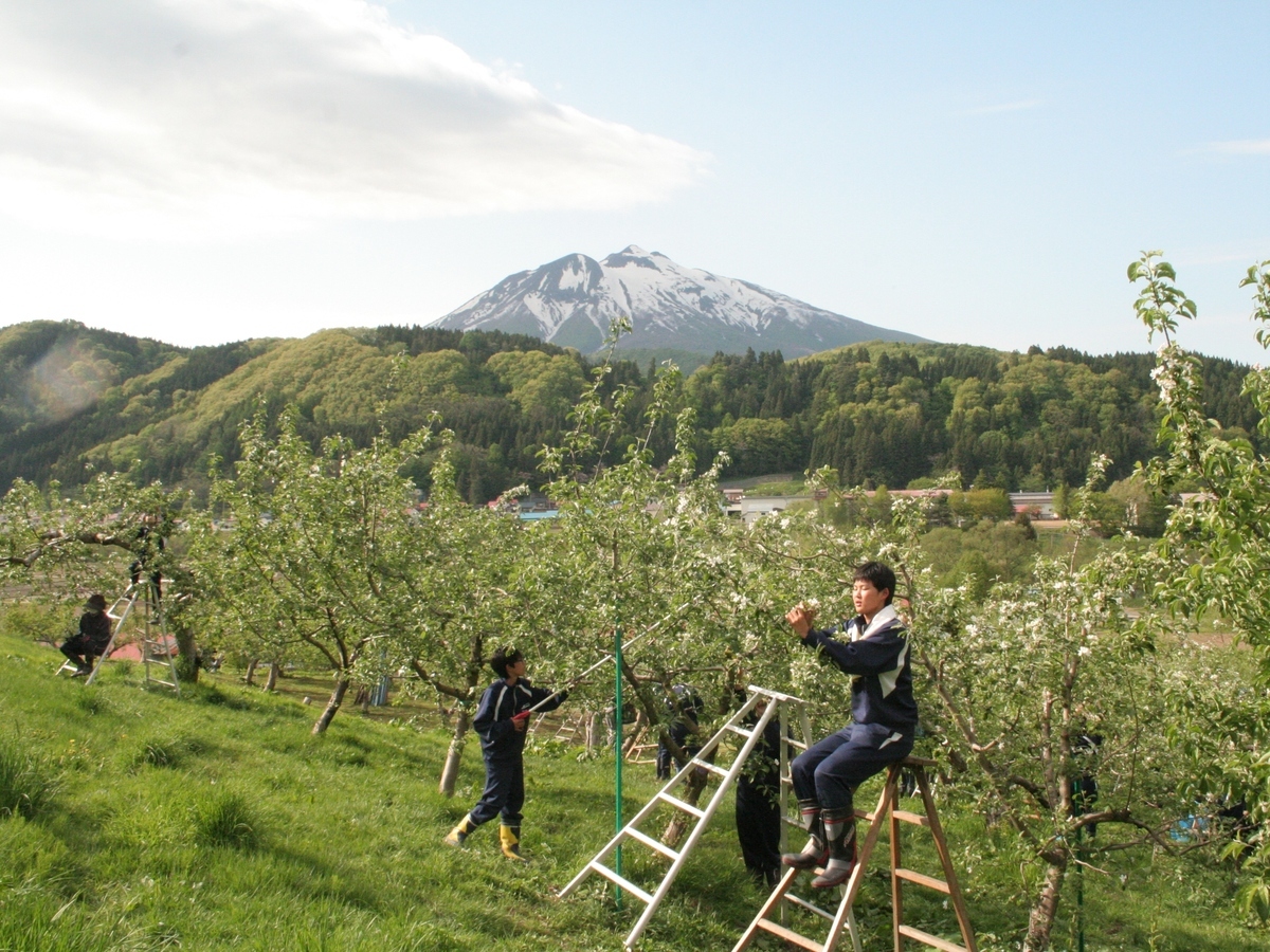 東目屋中学校から見た岩木山