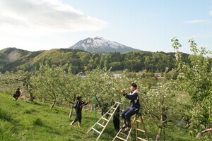 東目屋中から見た岩木山