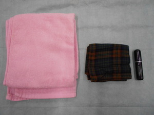 二十歳の祭典会場での落とし物2