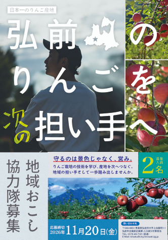 chirashi