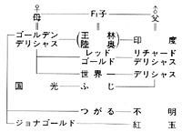 品種改良相関図