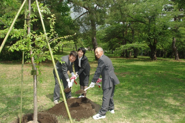 植樹第2号