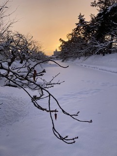 夕暮れの弘前公園