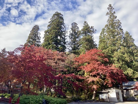 高照神社の紅葉