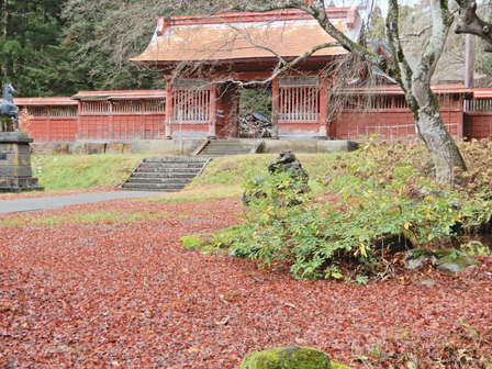 高照神社落ち葉